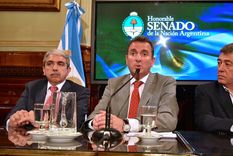 Foto: Gobierno de Mendoza