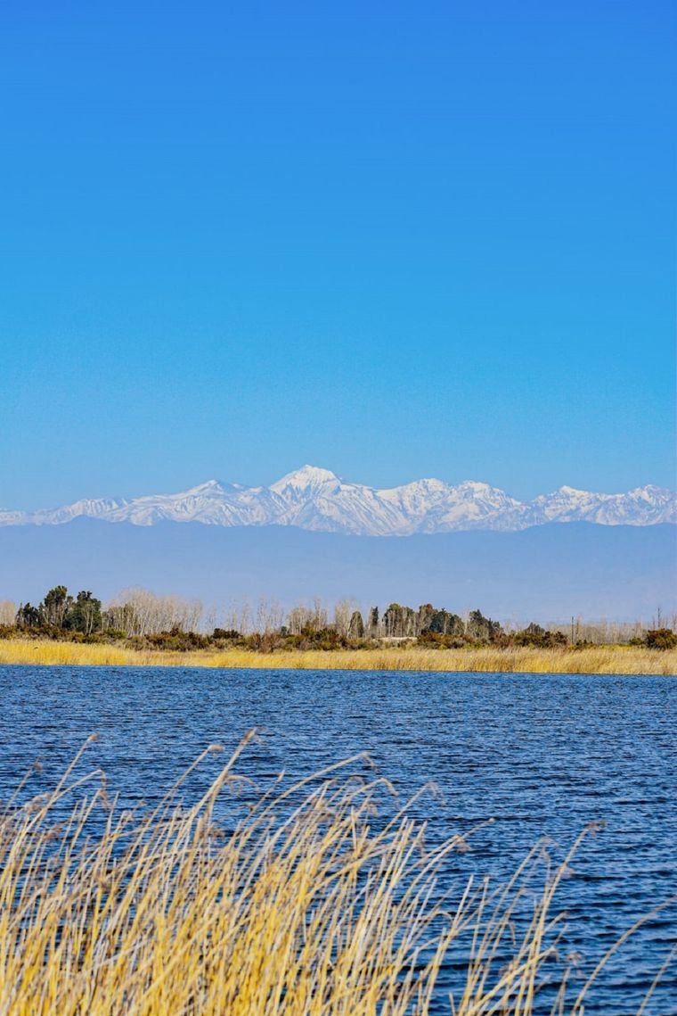 La Laguna Soria es uno de los últimos humedales que dan vida al desierto de Lavalle Foto: Gentileza