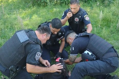 Se trata de dos efectivos de la Policía de Córdoba. Se trata de dos efectivos de la Policía de Córdoba.