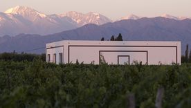 Bodega Ricardo Santos Foto: Bodega Ricardo Santos