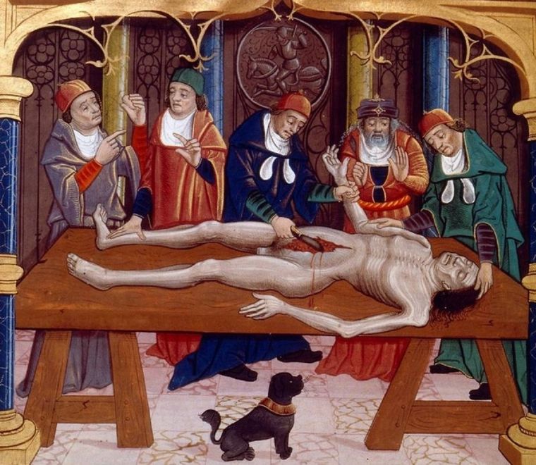 Ilustración medieval de una autopsia realizada en la edad media. Del manuscrito francés Las propiedades de las cosas de Bartholomaeus Anglicus, finales del siglo XV. Foto: GETTY IMAGES Foto: GETTY IMAGES