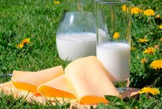 Leche y queso, dos alimentos con proteínas. Foto: Pixabay - pixabay.com
