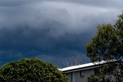 MDZol | lluvias, tormentas