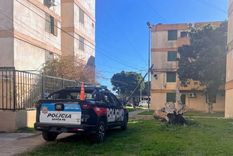 Dos hermanas de 72 años fueron halladas muertas este miércoles por la tarde en su domicilio del complejo Fonavi, en la zona sur de Rosario﻿.