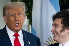 Así reaccionó el Gobierno de Javier Milei al duro diagnóstico de Donald Trump Así reaccionó el Gobierno de Javier Milei al duro diagnóstico de Donald Trump