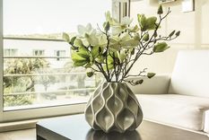 Plantas sin químicos Foto: Pixabay