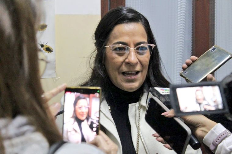 Carolina Moisés ratificó su postura en relación a la votación a favor del RIGI en la Ley Bases y apuntó contra La Cámpora Foto: Twitter Oficial Carolina Moisés