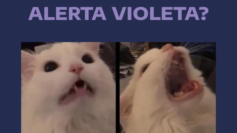 Ante la confusión entre alerta y advertencia, el SMN aclaró la diferencia con memes.