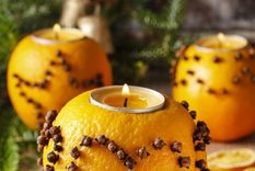 Dos recetas que funcionan como repelentes naturales. Foto: Archivo