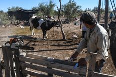 Foto: Juan Ignacio Blanco/MDZ