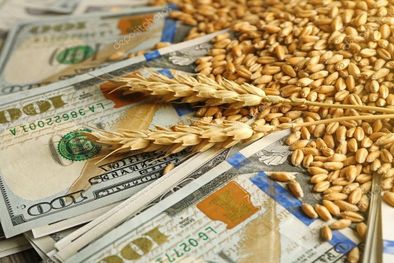 MDZol | Dólar soja retenciones