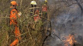 La fiscal Sandra Rojas encabeza la pesquisa para identificar a los responsables de los incendios en Cafayate, Salta, La fiscal Sandra Rojas encabeza la pesquisa para identificar a los responsables de los incendios en Cafayate, Salta,