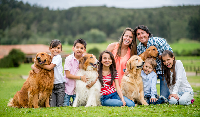 Las familias multiespecie integran a los animales como miembros esenciales dentro del núcleo del hogar.