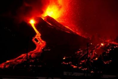 MDZol | Foto: Reuters
