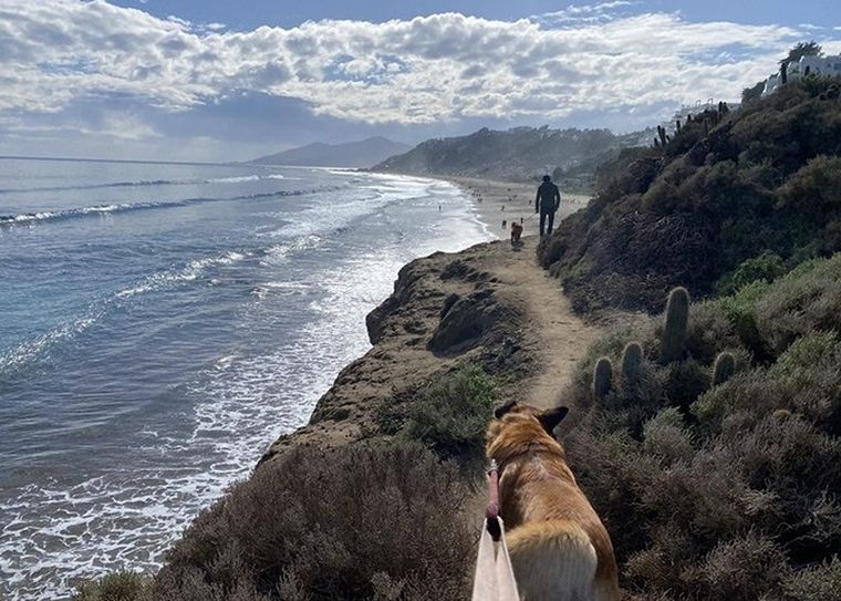 El inciden se registró en la playa Marbella de Valparaíso