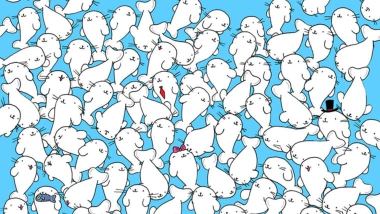 ACERTIJO VISUAL ACERTIJO VISUAL, RETO VISUAL, MALVAVISCO Foto: ARCHIVO