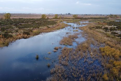El Senado dio media sanción a un proyecto para expropiar un terreno y crear un humedal artificial en Los Corralitos. El Senado dio media sanción a un proyecto para expropiar un terreno y crear un humedal artificial en Los Corralitos.