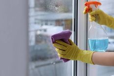 Un truco casero que sorprende: la cebolla elimina grasa, repele insectos y evita el empañamiento. Foto: Shuttertock