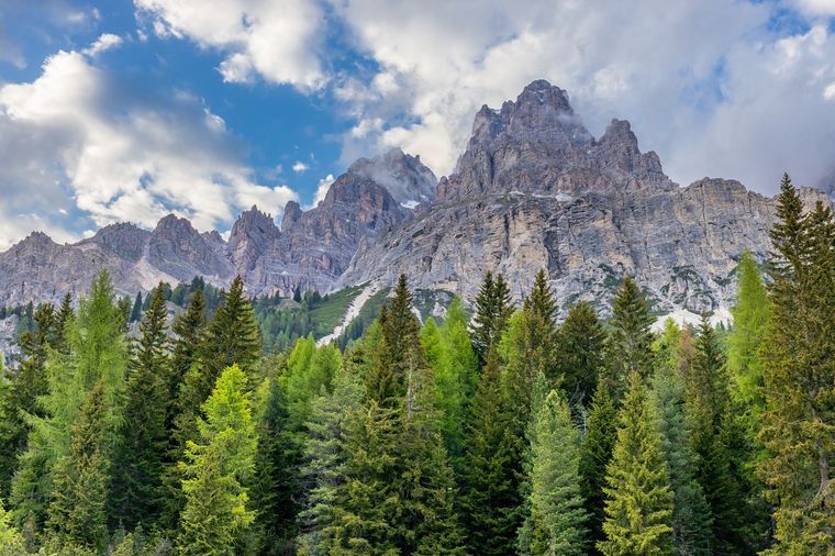 Este hallazgo ocurrió en los alpes italianos. Foto: Shutterstock