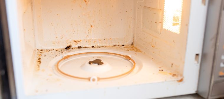 La limpieza del microondas previene la acumulación de bacterias como Proteobacteria y Firmicutes. Foto: Shutterstock