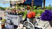 La floristería, lejos de pasar de moda, es un negocio que se reinventa en Mendoza de la mano de la calidad. La floristería, lejos de pasar de moda, es un negocio que se reinventa en Mendoza de la mano de la calidad.