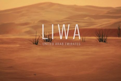 Mirá cómo Google Street View usó camellos para filmar en el desierto