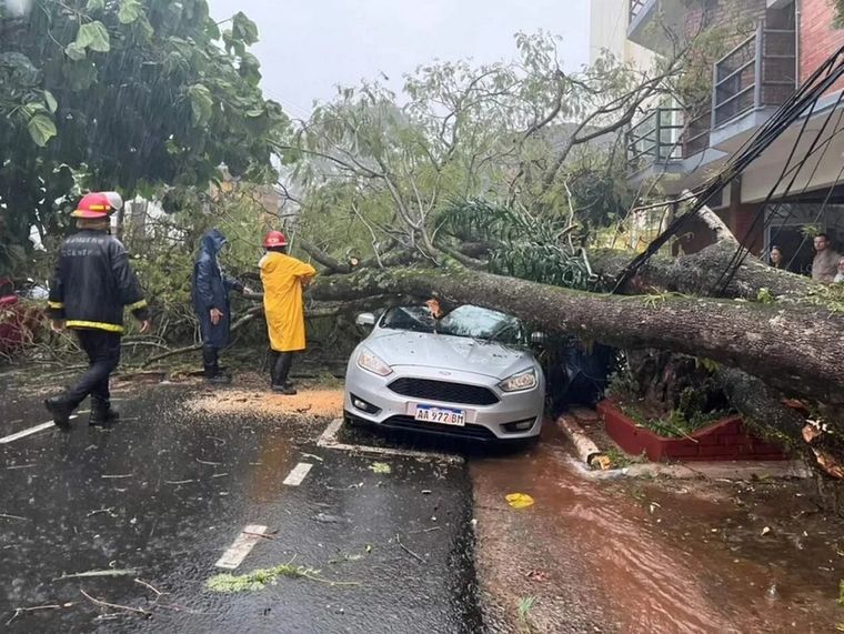 Durante el temporal, un árbol de grandes dimensiones cayó sobre un vehículo dejando atrapado a un médico, quien fue rescatado por bomberos. Foto: NA