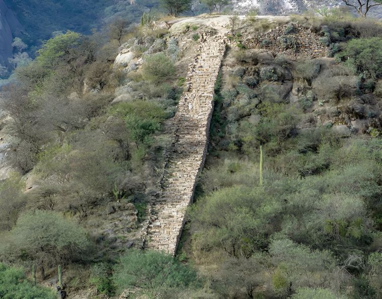 La gran escalinata de piedra que asciende por la ladera, uno de los accesos ceremoniales al complejo incaico del Shincal, rodeado de la vegetación típica del valle.