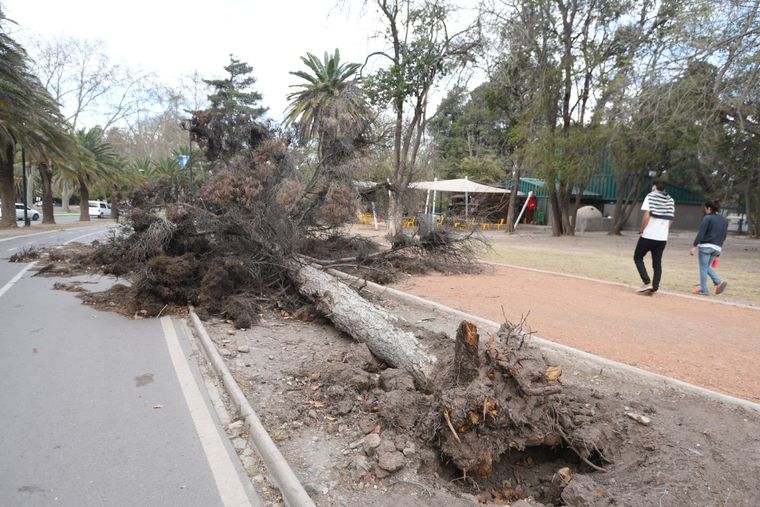 Tras el Zonda, así quedan las calles de Mendoza. Foto: Maximiliano Ríos/MDZ