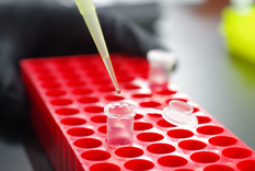 Investigadores santafesinos crearon un suplemento que mejora el sueño. Foto: Gentileza Borini Investigadores santafesinos crearon un suplemento que mejora el sueño. Foto: Gentileza Borini