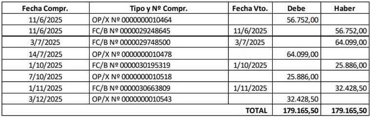 Pagos por el servicio de electricidad durante 2025 de la Residencia del Gobernador. Fuente: Mendoza Fiduciaria SA. Pagos por el servicio de electricidad durante 2025 de la Residencia del Gobernador. Fuente: Mendoza Fiduciaria SA.