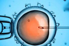 25% de los nacimientos son a partir de la donacion de ovulos. ¿en que consiste?