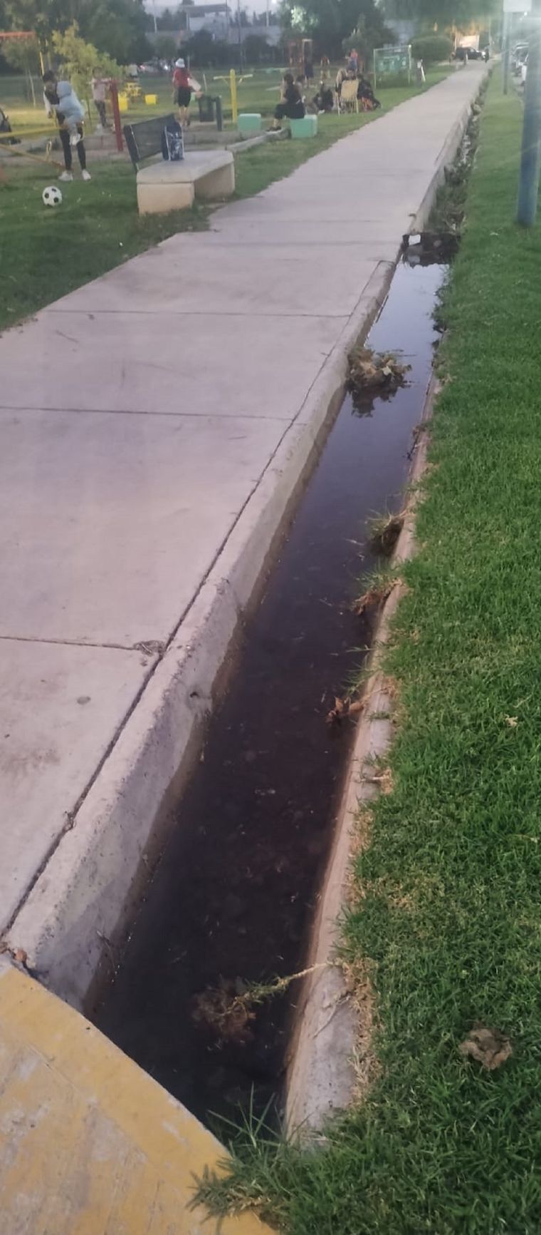 Agua estancada tras la tormenta Foto: Gentileza