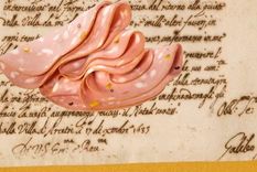 como los escritos de galileo galilei terminaron como papel de envoltura de mortadela