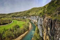 Roark Bluff Buffalo, Arkansas Foto: arkansas tourism