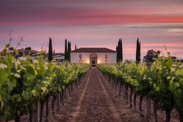 Viña Santa Rita, en Chile.