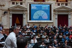 Más repercusiones sobre el proyecto de Ficha Limpia. Foto: Prensa Diputados