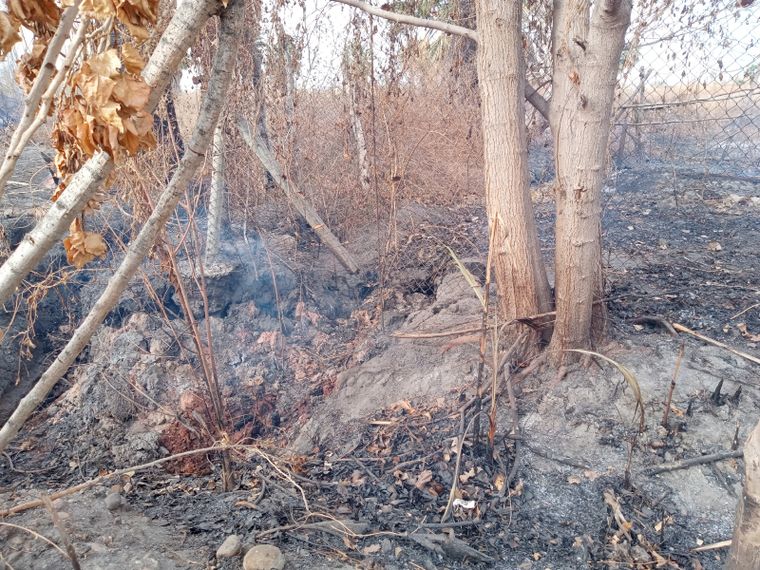 El fuego sigue al lado de las casas, en calle Las Chimbas. / Foto: MDZ Foto: MDZ
