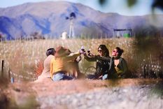 Ruta del vino en Córdoba Foto: archivo MDZ.