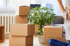 Esto fue lo que dijo la inteligencia artificial Foto: Archivo