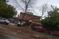 Los árboles se están secando en el centro de Malargüe Foto: Gentileza