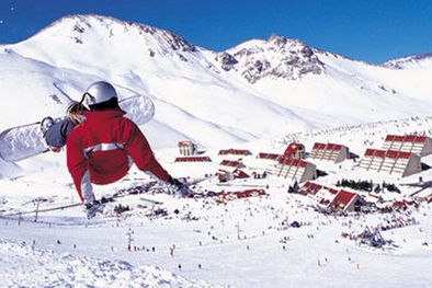 MDZol | Foto: www.laslenas.com