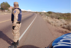 Se detuvo un caso de maltrato animal en Guaymallén.&nbsp;