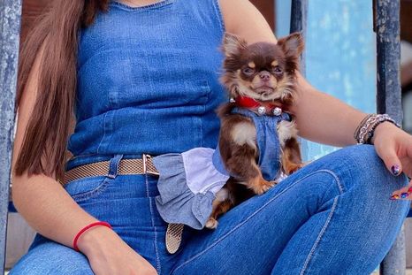 Karol Sevilla nos da los tips esenciales para usar jeans con botas Foto: Instagram