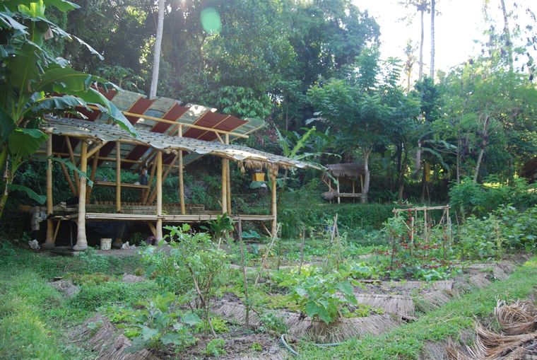 Jardín botánico de una escuela Montessori Foto: Lola Arpa