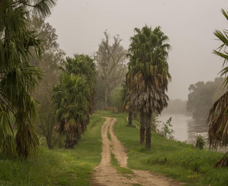 Carcarañá, el pueblo santafesino que combina naturaleza, historia y el encanto del río.