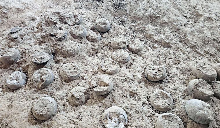 Fósiles de huevos de dinosaurio cristalizados descubiertos en China. Foto: Dpa.