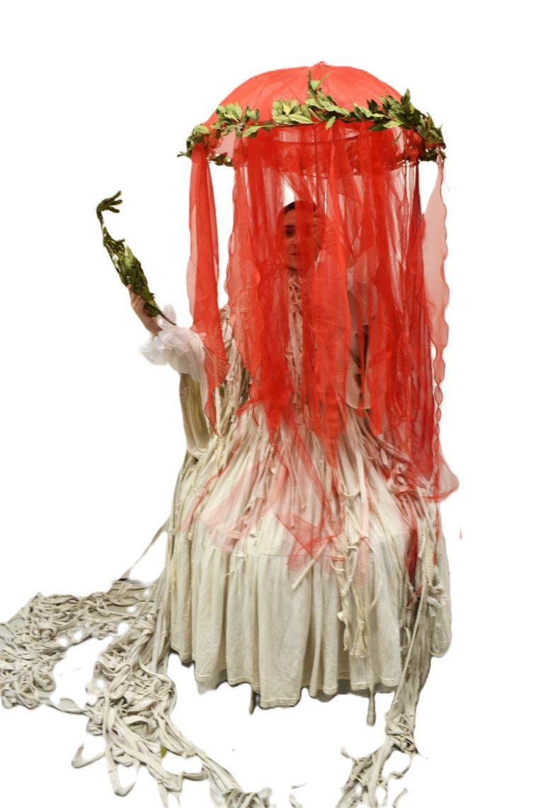 Las Patrias de San Martín, MAM 2024. Las Patrias de San Martín, MAM 2024.