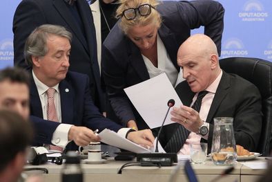 MDZol | La Cámara de Diputados quiere tratar la semana que viene este tema en una nueva sesión especial Foto: Noticias Argentinas