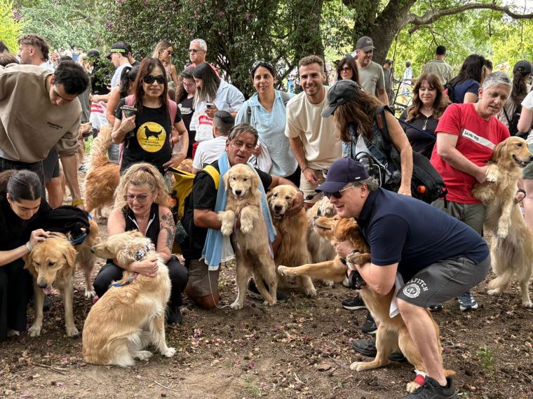 La juntada generó un boom mediático, pero desde el Golden Retriever Club Argentino piden transformar el furor en educación y tenencia responsable.